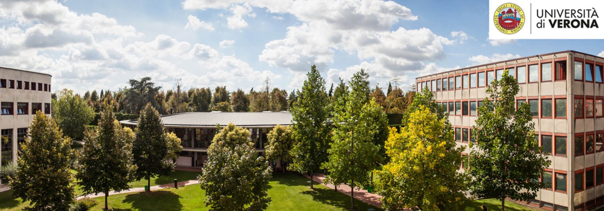 Verona Üniversitesi (Università degli studi di Verona